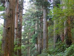 罪滅ぼしの旅　in 箱根（大涌谷・芦ノ湖　編）