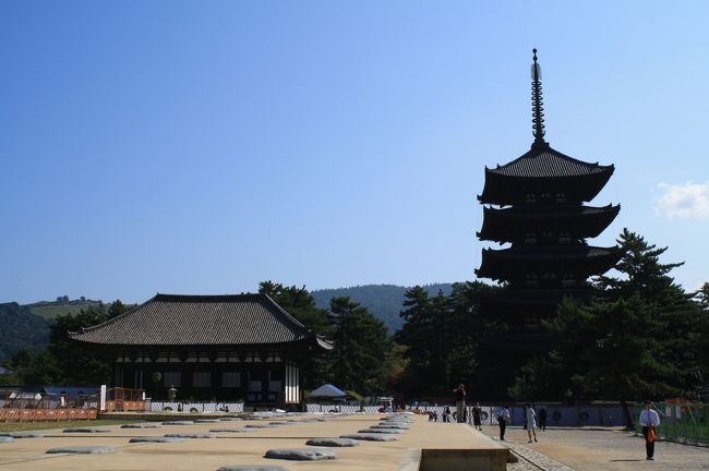 興福寺は藤原氏の氏寺として奈良時代に栄華を極めました。<br />かつては金堂を三つも有していましたが、現在は東に位置する東金堂を有するのみです。<br />中金堂は再建中です。<br />また五重塔は高さ約５０ｍで奈良で一番高い五重塔です。<br />