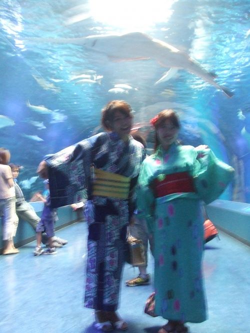 しながわ 水族館 安い 浴衣 割引