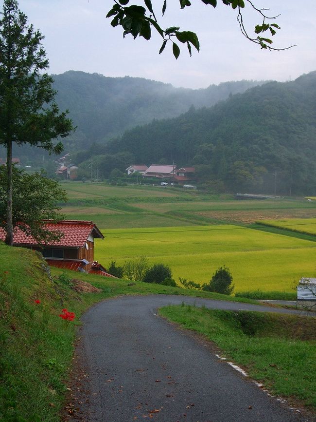 もう幾度となく来てる有福温泉、昔ながらの温泉地の風情をそののまま残し呉れてることは温泉好きにはたまりません。<br />幾つもの狭い曲がりくねった階段に温泉旅館がひしめき合うように建ってます。<br />有福温泉には、御前湯・さつき湯・やよい湯と3つの共同浴場があります。<br /><br />私が思うに、美又温泉は西日本一の美人湯だと思います。<br />日本三大美人湯（群馬・川中温泉、和歌山・龍神温泉、島根・斐の川温泉）<br /><br />美人湯の特徴、ヌルヌル度。この美又温泉のヌルヌルは肌にまとわりつきます。一度体験されては如何？風遊お勧めの温泉です。