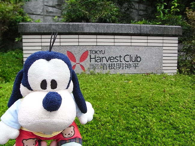 グーちゃんだよ。<br />GWの函館を最後に休養にはいってたグーちゃん。<br />夏のエジプトも留守番を余儀なくされたの・・・。<br />いつまでも我慢できるはずもなく<br />とうとう秋の箱根合宿で復帰することになったの。<br />復帰を祝ってくれるのはいいけど・・・。<br />