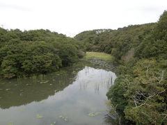 水郷県民の森でバードウォッチング [2009](2)