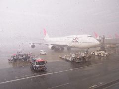 番外編　１０月８日台風が関東に最接近の朝　私は羽田空港におりました。