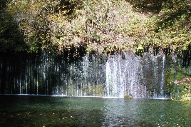 出張の折に訪れた長野県の名所、白糸の滝です。日本各地に存在する白糸の滝の中で、主なものは次の場所にあります。<br /><br />○ 山形県戸沢村：高さ120m、日本の滝百選の一つ。<br />○ 福島県猪苗代町： 活火山の安達太良山の西側斜面に位置。<br />○ 群馬県長野原町：吾妻川に流れ落ちる2段落としの滝。<br />○ 山梨県小菅村：紅葉の名所。<br />○ 長野県軽井沢町： 今回見学の滝です。高さ3m、長さ70m。<br />○ 岐阜県下呂市：御嶽山の西側濁河温泉に位置し、高さ20m。<br />○ 静岡県富士宮市：幅200m、高さ20m。国の名勝及び天然記念物で日本の滝百選の一つ。<br />○ 福岡県前原市：幅12m、高さ24m