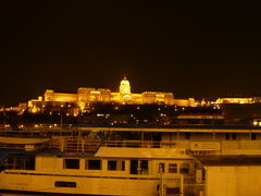 初めてのﾁｪｺ・ﾊﾝｶﾞﾘｰ☆5日目☆