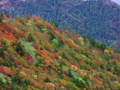 ヘブンスそのはらの紅葉を見て駒ヶ根に行きました。
