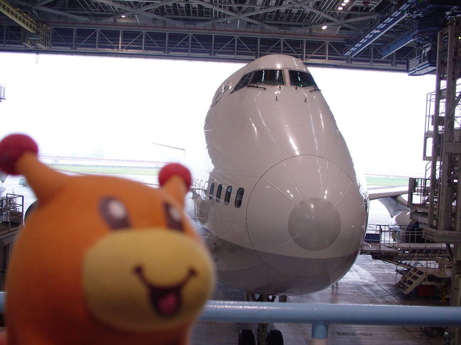 羽田空港のすぐそばにある、<br />ANAの整備工場は予約制で見学できます。<br />結構な人気で、平日に限られますが、それでも見たい!