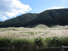 仙石原でススキの海を見る　さわやか秋箱根