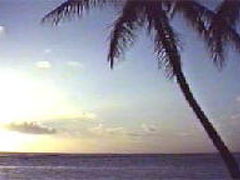 日本から一番近いアメリカ　グアム島一周ドライブ