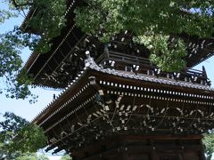 ひとり旅 ［625］ 久しぶりの四国＜弘法大師生誕の地・善通寺境内＞香川県善通寺市