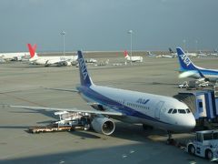 2009年9月　アジア旅行　その１：往路：全日空