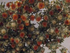 河口湖ドライブ　ハーブとお菓子を楽しんだ