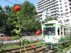 ビアンキFRETTA☆都電荒川線三ノ輪橋～鬼子母神☆2009/10/13