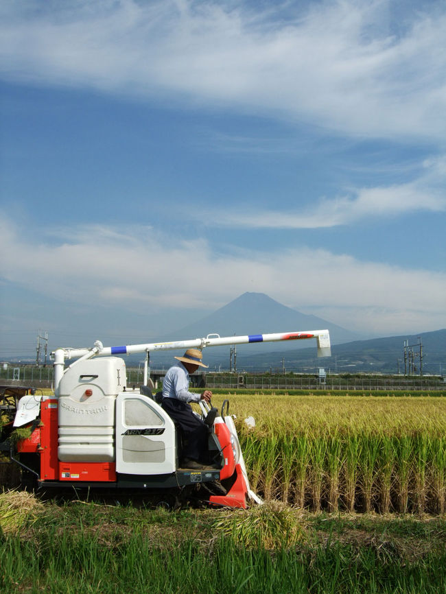 ０９月も終わろうとしている２４日。<br />お天気も良く富士山も見えていたのでいつものようにウロウロしてきました。(笑)