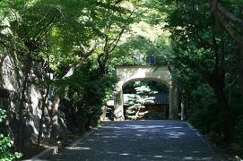 2009秋、尾張の古刹・桃厳寺(1/3)：清浄門、不老門、アベマキ、フイリヤブラン