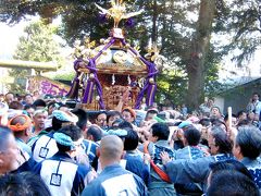 東京都世田谷区、商業の中心地三軒茶屋にある神社　”太子堂八幡神社のお祭り”