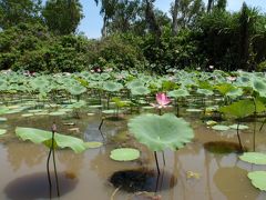 ●[オーストラリア]　カカドゥ国立公園-Kakadu-　Day1-1　（OZ trip in Oct.2009 No.3）