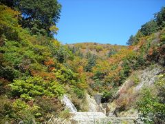 白山スーパー林道