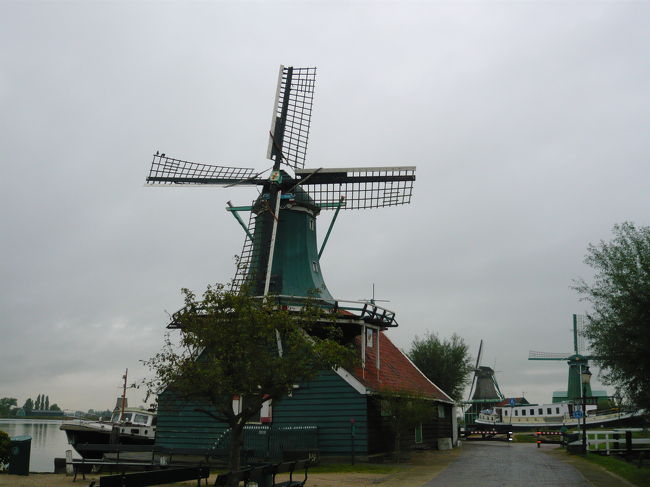 「美術館と歴史遺産満喫のオランダ旅行　その４」の続きです。<br /><br />この日は、半日使って風車の村ザーンセ・スカンスに出かけて来ました。<br /><br />やはりオランダに行ったら１度は風車を見たいものです。<br />当初、風車と言えばやはり世界遺産キンデルダイク！ということで、キンデルダイクに行くことも考えたのですが、実際キンデルダイクに行ったことのある知人の話によれば、「風車がたくさん並ぶ様は確かに壮観だが、きれいなだけで特に面白い場所ではない」とのこと。・・・う〜ん、意見は人それぞれでしょうが、そこまで言われるとあまり行く気がおきません。<br />おまけに、キンデルダイクはアクセスが不便ですし。<br /><br />そういうわけで、アムステルダムから鉄道で３０分ほどでアクセスできるザーンセ・スカンスに行くことに決めました。<br /><br />この日はお天気に恵まれず、終始小雨が降ったり止んだりのすっきりしない空模様でしたが、ザーンセ・スカンスは風車だけでなく立ち並ぶ家々もかわいらしく、まるでおもちゃの国のよう。<br />十分に楽しむことができました。<br /><br />なお、ザーンセ・スカンスの情報収集にはこちらのページが便利です。<br />http://www.zaanseschans.nl/<br />英語ページもあり、内容は充実しています。