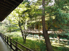 京都（青蓮院・上賀茂神社）