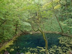 紅葉狩り2400キロのドライブー十二湖まで