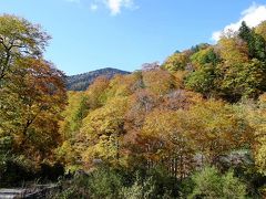 09  秋の谷川岳と奥利根水源の森を散策・・・③奥利根水源の森