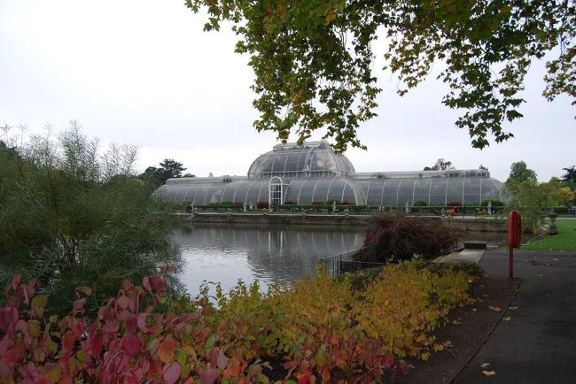 キューの王宮植物園群、通称Kew Gardenに行ってきた。<br /><br /><br />英国庭園の美しさも兼ね備えた非常に美しい庭園であった。地元の小学生や中学生も大勢遠足（社会見学？）に訪れていた。<br /><br />緑に囲まれ心も体もリフレッシュしたような感がある。こんな良い所が近所にあれば本当にいいなと思うぐらい、公園のたくさんあるロンドンの中でも特にお薦めな庭園である。但し、有料なのは玉に傷。<br /><br />元々ここは大英帝国が世界各地に植民地を増やしていた時代、茶やゴム等の金になる植物をここに集めて研究する為の施設であった。<br />その植物に適した植民地があれば、そこで大量栽培を行ったとのこと。所謂プランテーションである。