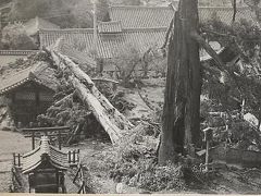 伊勢湾台風で被害を受けた東大寺へ