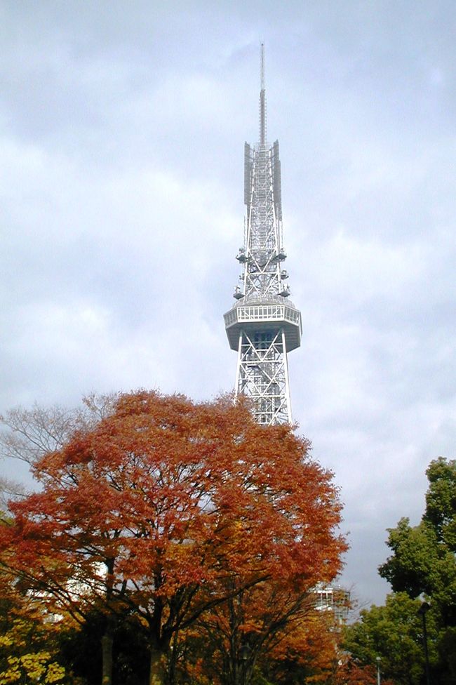 名古屋テレビ塔がある栄付近の名古屋市中心街の紅葉の紹介です。