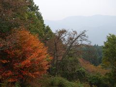 秋の美の山ハイキング①親鼻～花の森まで