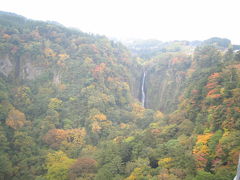 九重“夢”大吊橋　２００９秋