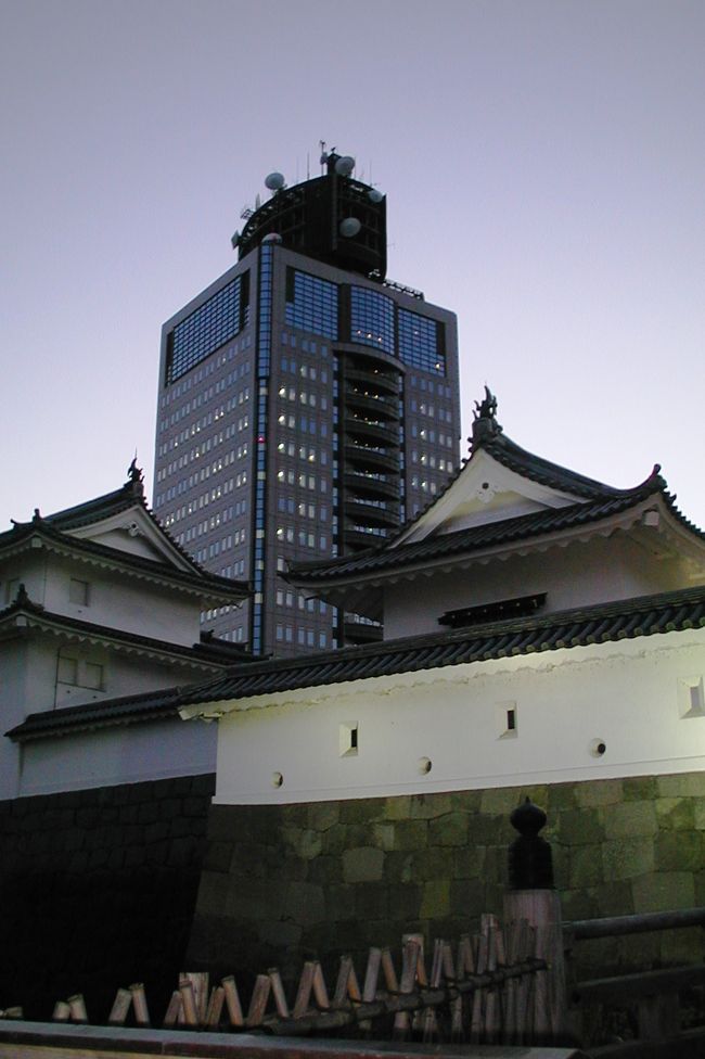 高層bるから藤さんを眺めた後、次は駿府公園の見学です。駿府城址になります。夕食の後も、少し付近を散策しました。