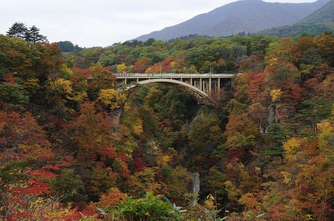 宮城県に住んでて初めて見に行きました。<br />土曜日でしたので大変な混みようでした。（*^_^*）