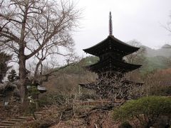 初春の上田(2) 別所温泉 寺巡り ～2007年4月～