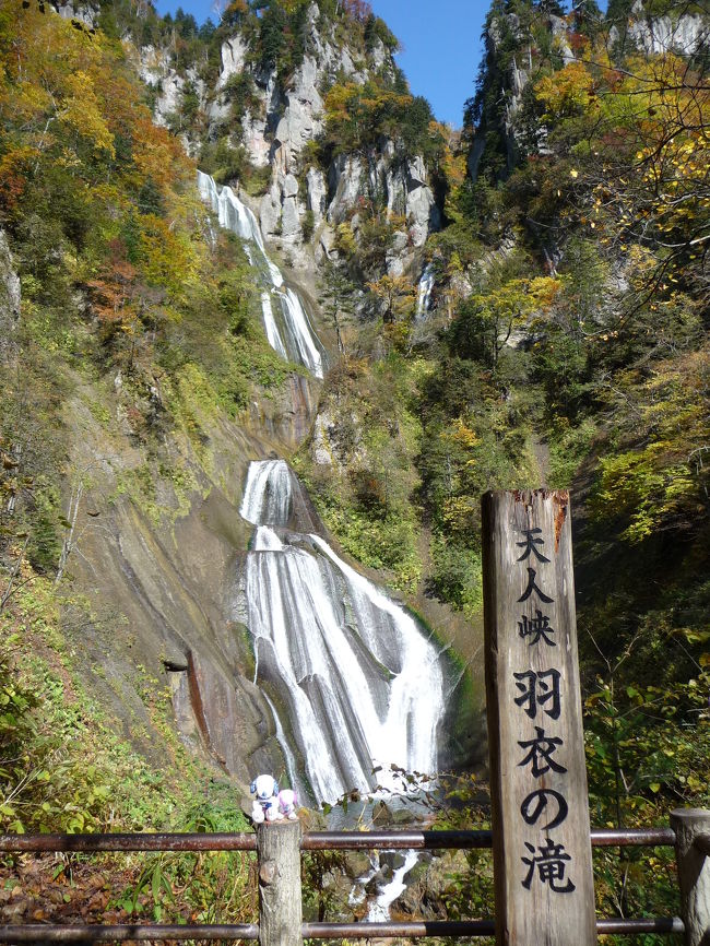 今回の最大目的だった天人峡・羽衣の滝にやって来ました！<br />「羽衣の滝」は日本で二番目の落差（約270ｍ）を誇る北海道随一の名瀑で、日本の滝百選にも選ばれています。<br /><br />昨年３月には滝まであと500ｍのところまで来ましたが、積雪のために遊歩道が通行止め...。（その時の様子はこちら→http://4travel.jp/traveler/joecool/album/10228581/）<br />その時に「紅葉時期に必ず再訪するぞ！」と心に決め、その願いが今回叶いました。<br /><br />神戸空港出発時には（台風の影響で）天気がどうなるか心配でしたが、この日は秋晴れの快晴！！！<br />その紅葉風景は「素晴らしい」のひとことです♪<br /><br />これで、日本の滝百選は54ヶ所めとなりました。
