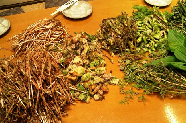 2004春、三河まで山菜採りに(2：完)：ワラビ、タラの芽、コシアブラ、採った山菜で宴会