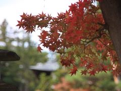 ツアコンでも旅を楽しんじゃおう～３日目最終日　天地人ゆかりの地　米沢編～