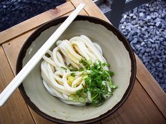 日帰り初四国めぐり　その３（香川でうどんを食べた。）