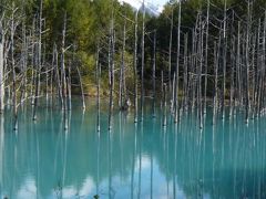 美瑛の『青い池』＆『白金不動の滝』◆2009秋色の北海道《その１３》
