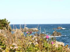 青森県　八戸　早朝の種差海岸から鮫町～港町を抜けて