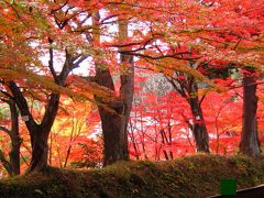 平泉の紅葉（中尊寺・毛越寺・達谷窟毘沙門堂・厳美渓）