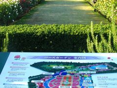 京成バラ園−13　秋咲きバラが満開に　☆年間パスポートはお得！