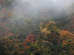 信州の紅葉を求めて　２　諏訪湖から松本へ