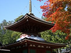 世界遺産！紅葉の参詣道　高野山 その壱