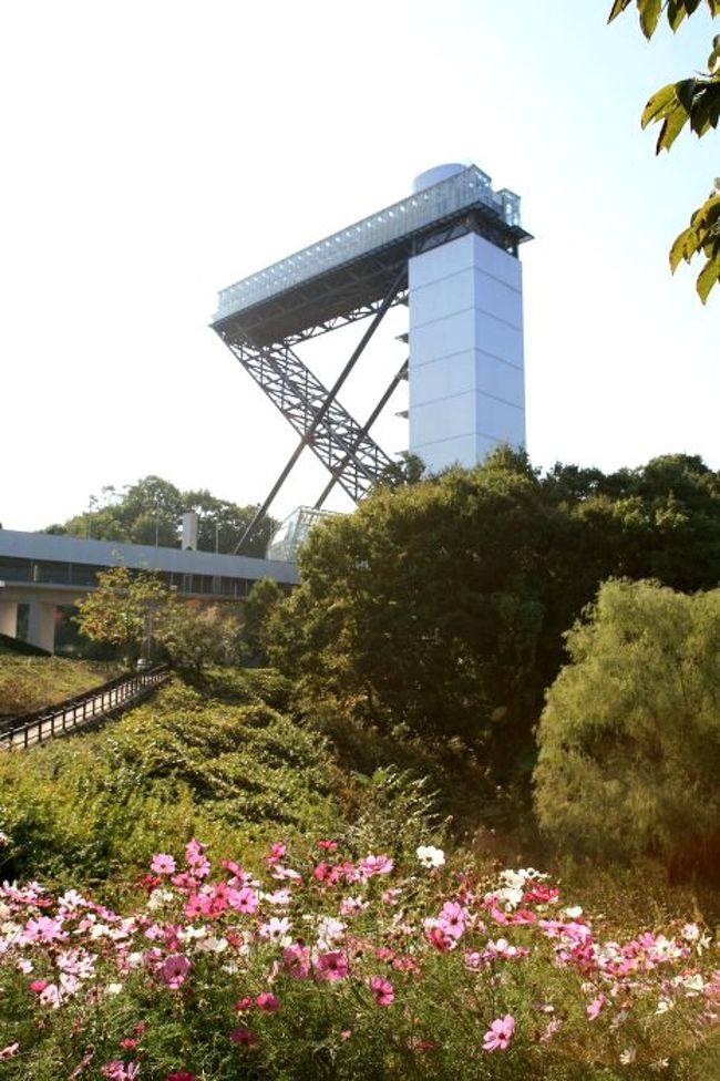 開園間もないころ、何度か通った可児市の花フェスタ記念公園へ10数年ぶりで行ってきました。この公園は、岐阜県営の都市公園で、日本植物園協会に加入する植物園。(財)花の都ぎふ花と緑の推進センターの管理・運営。開園は、1996年4月。現在、7,000種6万1千株のバラが植えられ、品種数では世界一のバラ園を誇っています。今、秋のバラの見頃・・。今回の訪問は、ターシャの庭でした。旅行記は、1・・園内散策、2・・ターシャの庭の2部構成です。<br /><br />写真は、園内の丘に建つ花のタワー。