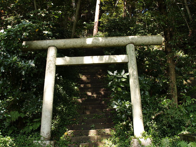 　江戸時代以前であれば、お墓に鳥居があってもおかしくない。しかし、明治維新の神仏分離令で特別な場所を除いてお墓から鳥居は取り払われた。特別な場所とは、宮内省（現在は宮内庁）管轄の陵墓、高野山の墓地などである。しかし、辺鄙な田舎や人がめったに行かない、忘れ去られたような場所にはお墓の前に鳥居が立っている。<br />　初めてお墓の前に鳥居を見たのは、明日香や奈良、大阪の古墳巡りをしてである。天皇陵には石の鳥居があってそこから拝むものだというのが身に付いてしまっていた。そんな訳であるから、地元の古老に天智天皇陵への道を聞いた時に、「鳥居があって。」と私が言うと、「鳥居はなかったな。」「え、鳥居がないんですか？天皇陵には鳥居があるはずなんですけど。今までに沢山の天皇陵を見てきましたけど鳥居がない天皇陵なんてありませんでしたよ。」何だかんだ質問していたら、もう一人の古老から、「道を聞いておいて何だ。」と怒鳴られた。気が短いだけではなく、子供の頃から何度も行っている近くの天皇陵さえほとんど覚えていない記憶力の持ち主もいるものだ。あるいはもうボケてしまったか。古墳巡りの頃はカメラ（デジカメではない、フィルムカメラ）を持ち歩いていなかったので写真はない。デジカメを持ち歩くようになったのは2003年以降である。<br />　次、山形市郊外の寺のお堂の前に鳥居があって驚いた。こんな山の中では明治維新政府の目も届かななかったのかと思った。<br />　さらに、高野山で大名のお墓の前に鳥居が立っているのを見た。高野山は歴史ある聖地であり、明治維新でも鳥居は撤去されなかった。<br />　とうとう、鎌倉で毛利季光（長州毛利氏の祖、大江広元の4男）、大江広元、島津忠久（薩摩島津氏の祖、源頼朝の庶子とされる）の3氏の墓が並び、平行する2本の参道のうち、広元の参道前に鳥居が立っているのを見つけました。法華堂跡（源頼朝墓）に隣接する山の麓です。鳥居は残るはずです。薩長中心の明治政府では長州毛利氏や薩摩島津氏の先祖のお墓を荒らすことなどできません。この墓は江戸時代10代将軍徳川家治の頃（安永8年（1779年））にその子孫の島津重豪（しげひで）によって建立されたものです。大江広元と島津忠久は鎌倉幕府草創期に頼朝を共に支えたことでお互いに同士意識があり、並んで墓が造られたようです。そのときに大江広元の4男毛利季光（長州毛利氏の祖）の墓も広元の墓の横に造られました。並んだこの墓を見ると江戸中期には毛利家と島津家は仲が良いことが伺えます。幕末に不仲になっても最後は薩長同盟を結べた理由が垣間見られます。なお、法華堂跡の石碑によれば丘にある源頼朝の墓（五輪塔）も安永8年に島津重豪が建立したものです。また、源頼朝の墓横の石碑によれば忠久公墓所までの参道も安永8年に重豪が整備したとあります。さらに、島津忠久の墓前にも碑があります、わざわざ丘の上と下と墓前に3つも石碑を建てる重豪はよほど自分の名を残し、功績を誇りたいのか。これらの土地およそ9,9000m2が平成14年に島津家当主修久氏と毛利家当主元敬氏から鎌倉市に寄付されました。毛利氏に「元」の字は入るのは広元の元をもらったのでしょう。ちなみに、嫡子は輝元のように後に、次男以降は元就のように前に、それぞれ「元」を付けます。<br />　最後は富山県高岡市にある前田家2代利長公のお墓です。墓前の立派な鳥居を見てももう驚かなくなっていました。ちなみに、高野山にも利長公のお墓があり、墓前には鳥居が立っていました。<br />　余談になるが、山科陵に行ったときに天智天皇陵の墳丘の大きさが気になった。詰め所の職員にWebで調べてもらったが見つからない。困っていたら詰め所の職員が、「直ぐですから測って来ます。」と言って巻尺を持って出て行った。10分もしないうちに戻ってきて測定結果を教えてくれた。天皇陵の墳丘の径や幅、高さを測定するのは大変なんだろうと思っていたが、実際には簡単だそうだ。宮内庁の職員は親切であるから、無理かなと思えるようなことでもお願いすると意外とやってくれるものだ。認識を改めよう。<br /><br />