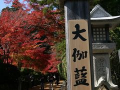 世界遺産！紅葉の参詣道　高野山　その弐