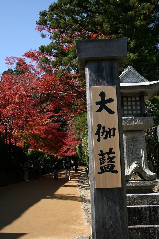 世界遺産！紅葉の参詣道　高野山　その弐