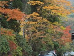 ２００９年１１月１日 箱根の 仙石原 湯の花温泉 桃源台など、各地の紅葉の様子