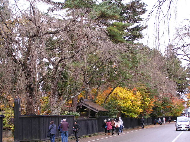 【３日目】<br />発荷峠<br />八幡平<br />角館武家屋敷通り<br /><br />３日目は生憎の雨(´Д｀。)グスン<br /><br />でも、田沢湖辺りまで来ると若干空が明るくなってきました。<br />田沢湖周辺の紅葉が、雨上がりで潤った感じもあって素晴らしかったです(*^-ﾟ)vｨｪｨ♪<br />